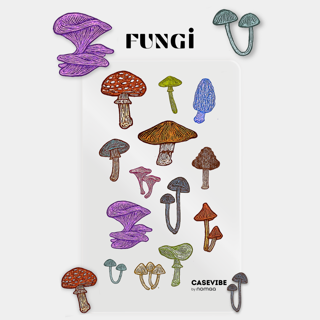 fungi_1